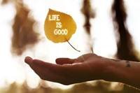 pic for Life Is Good 480x320